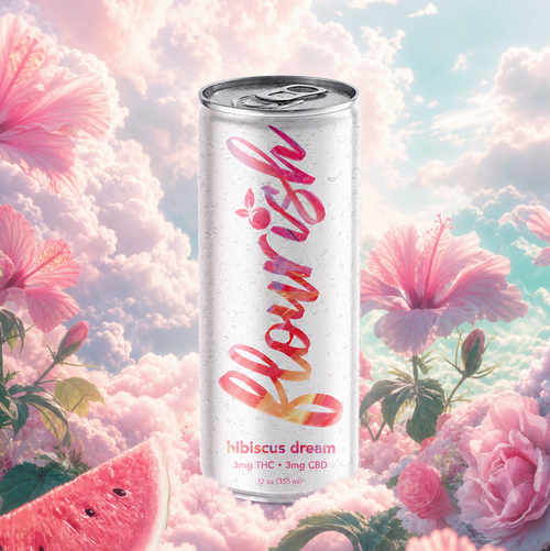 Hibiscus Dream