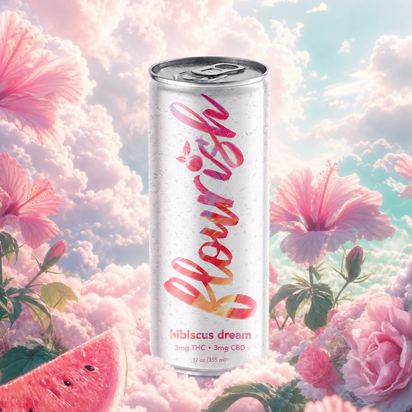 Hibiscus Dream